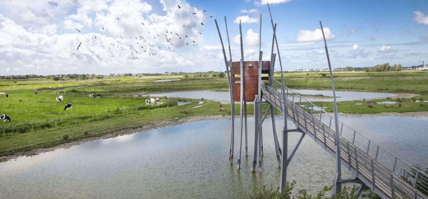 Voor een spectaculair uitzicht op de vlakke polders en het natuurgebied Zwaanhoek.