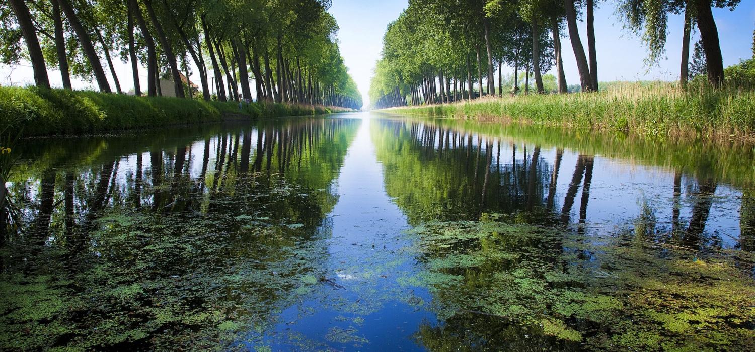 Een van de kanalen in de regio waar je eindeloos kan fietsen langs het water, inclusief de bomenrijen die erkend werden als monument.