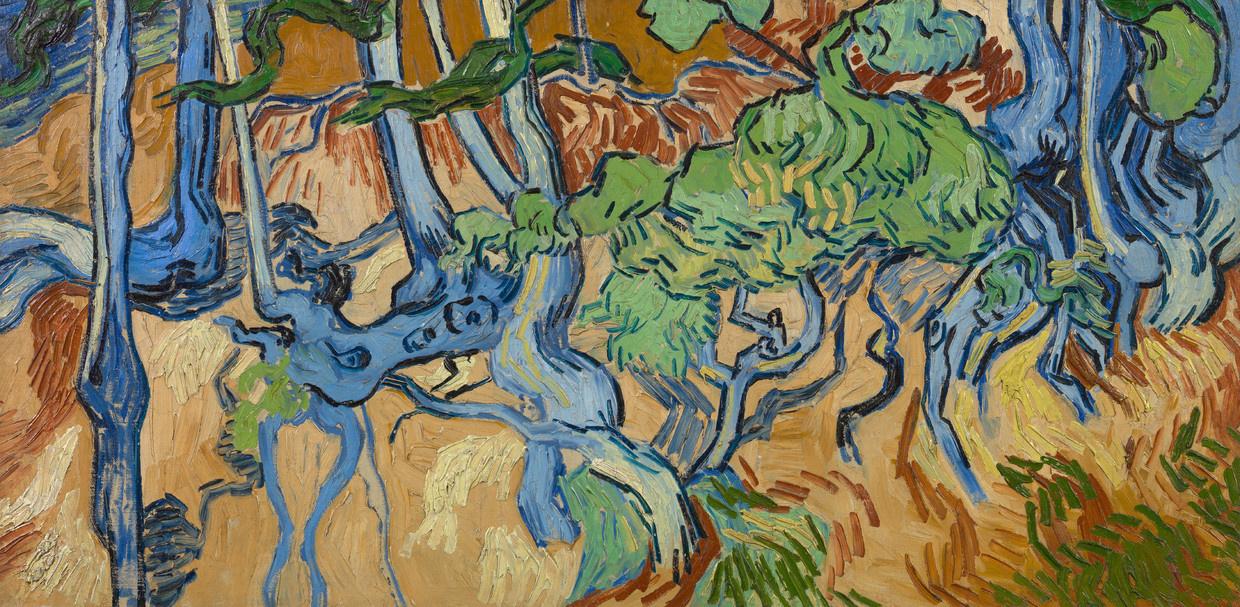 Oude postkaart legt exacte setting Van Goghs laatste werk bloot