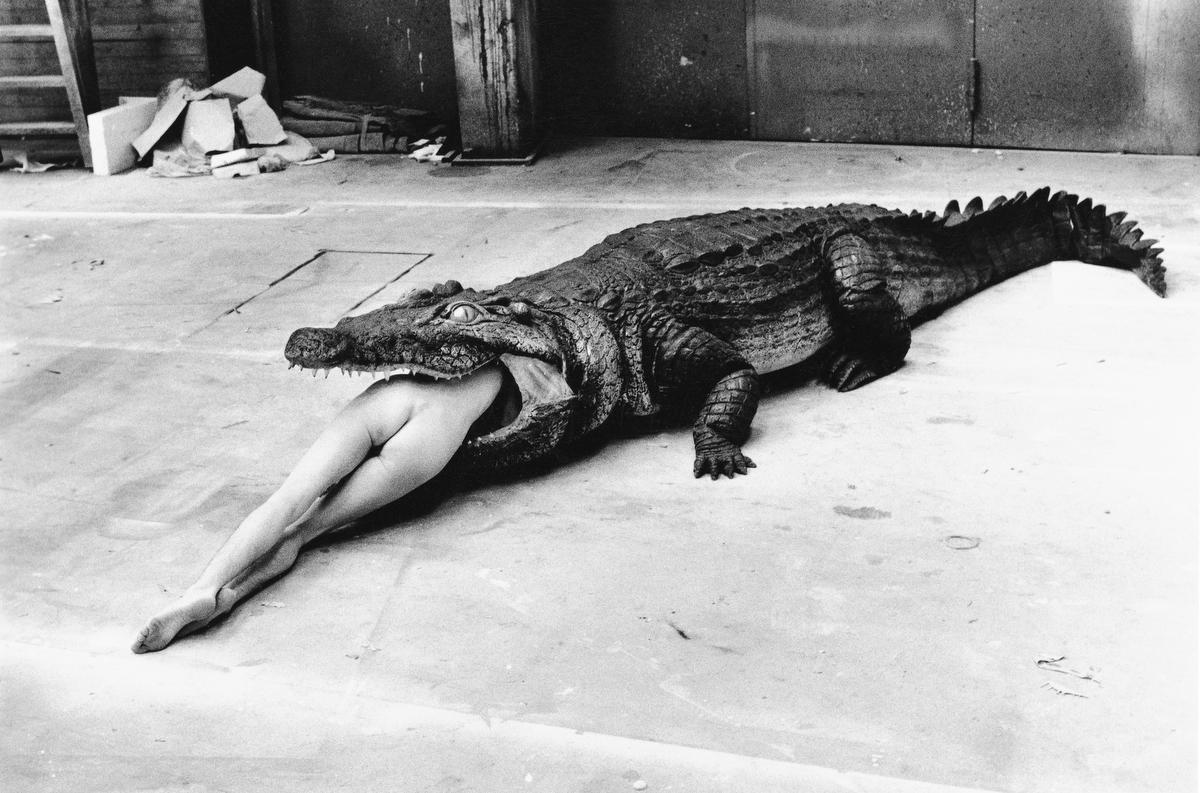 Crocodile, Wuppertal, 1983.