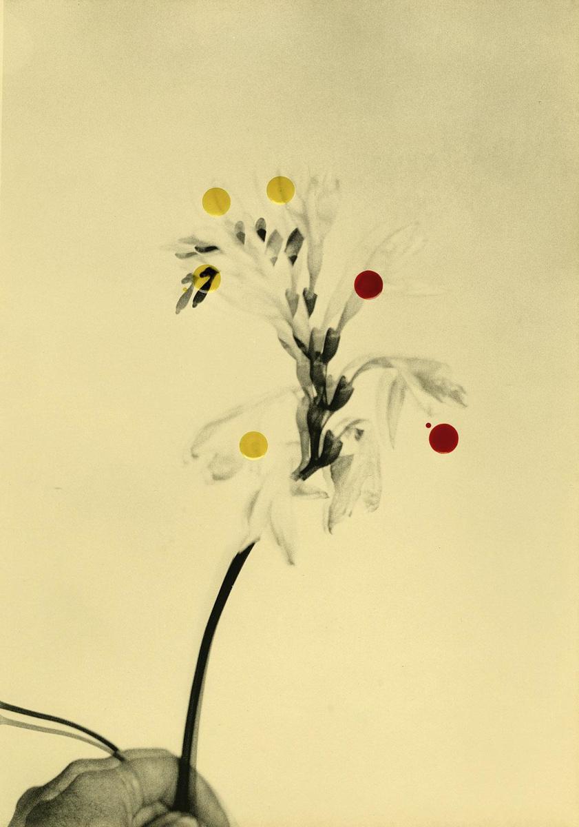 Flowers for Henriette door Bruno V. Roels, gelatinezilverdruk en inkt, vanaf 750 euro bij 28VignonStreet.com.