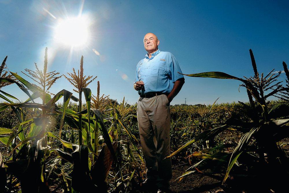 Robert T. Fraley, responsable technologique chez Monsanto, au milieu d'un champ de maïs transgénique de la compagnie, à Woodland, en Californie.
