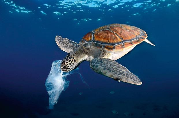 À l'assaut du plastique dans l'océan