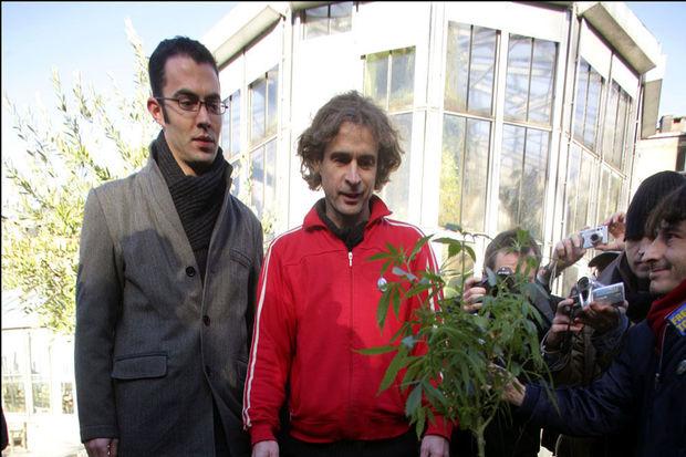 Fin 2006, la première expérience de cannabis social club voyait le jour à Anvers. Les autres initiatives, ailleurs dans le pays, ont toutes été contrecarrées par la justice. 
