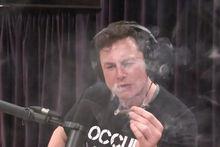 Elon Musk tire sur un joint durant le podcast de Joe Rogan