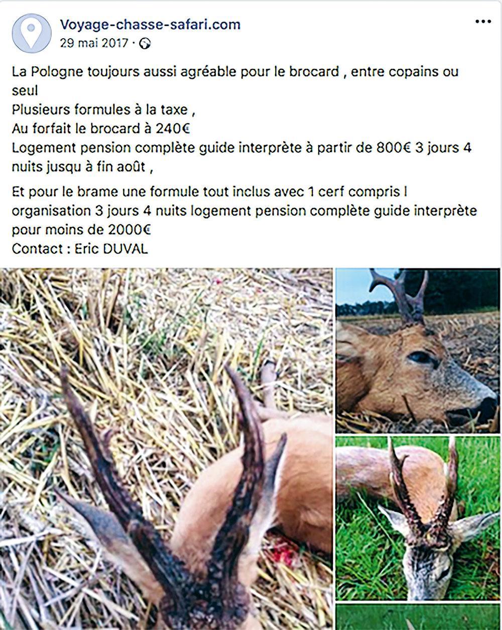 En mai 2017, Voyage-chasse-safari propose, via les réseaux sociaux, des séjours cynégétiques dans des contrées à risques.