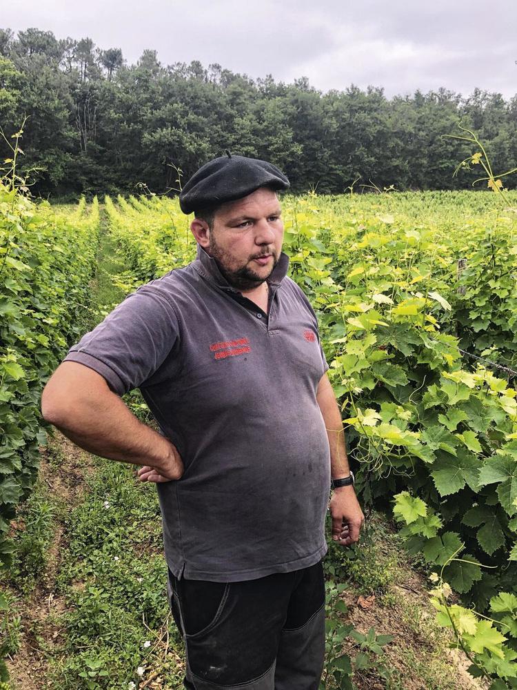 Wijnbouwer Damien Labiche: 'We hebben in Bordeaux te lang vastgehouden aan rigide regels.'