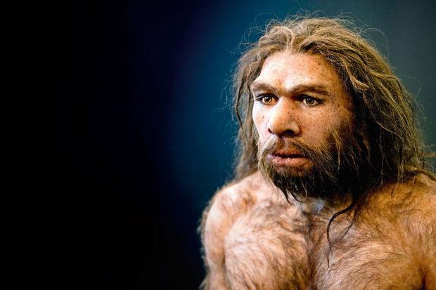 Le métissage avec le Néandertalien aurait donné à l'homme moderne sa capacité à combattre certaines maladies