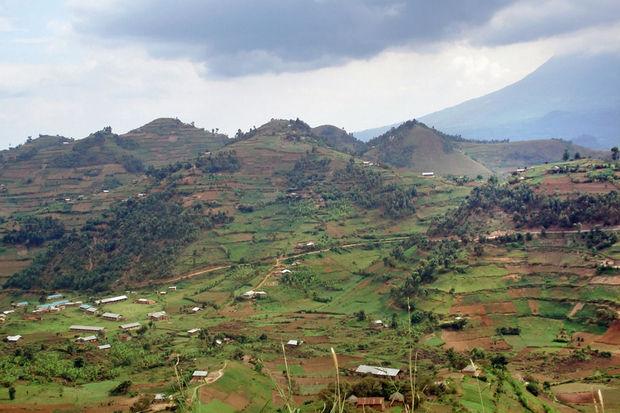 Le parc des Virunga fermé jusqu'à la fin de l'année