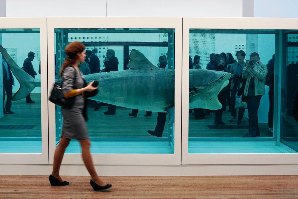 Le requin de Damien Hirst exposé à la Tate Modern de Londres, en 2012.