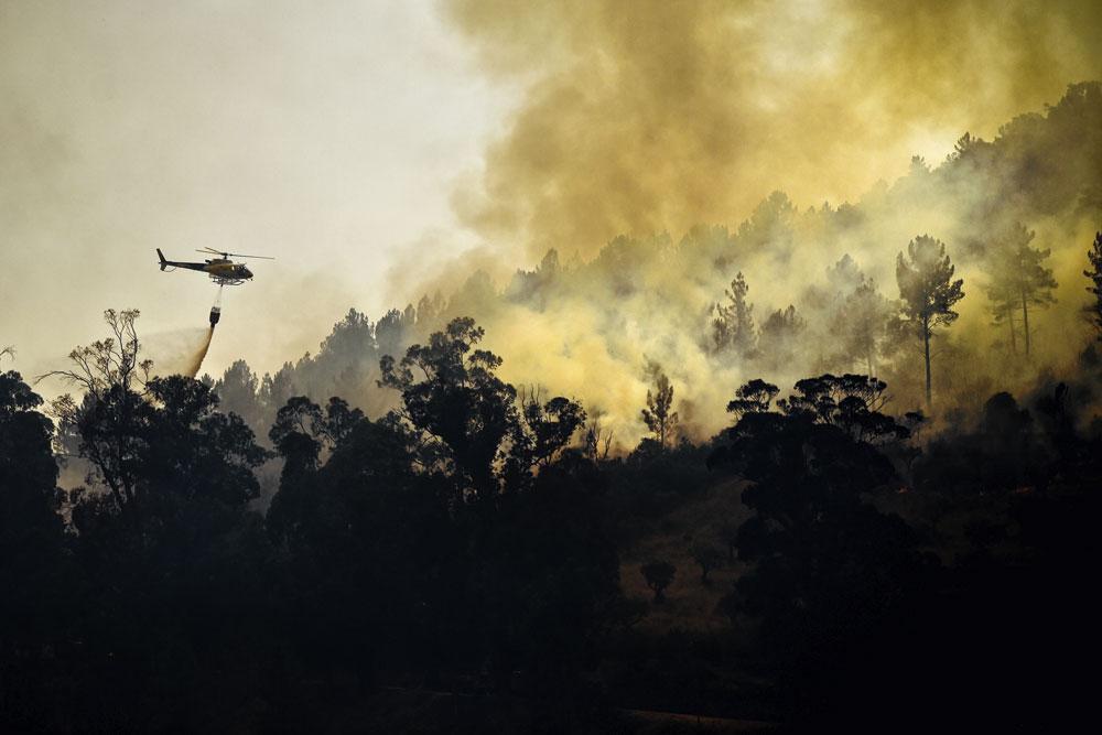 Bosbranden in Portugal.