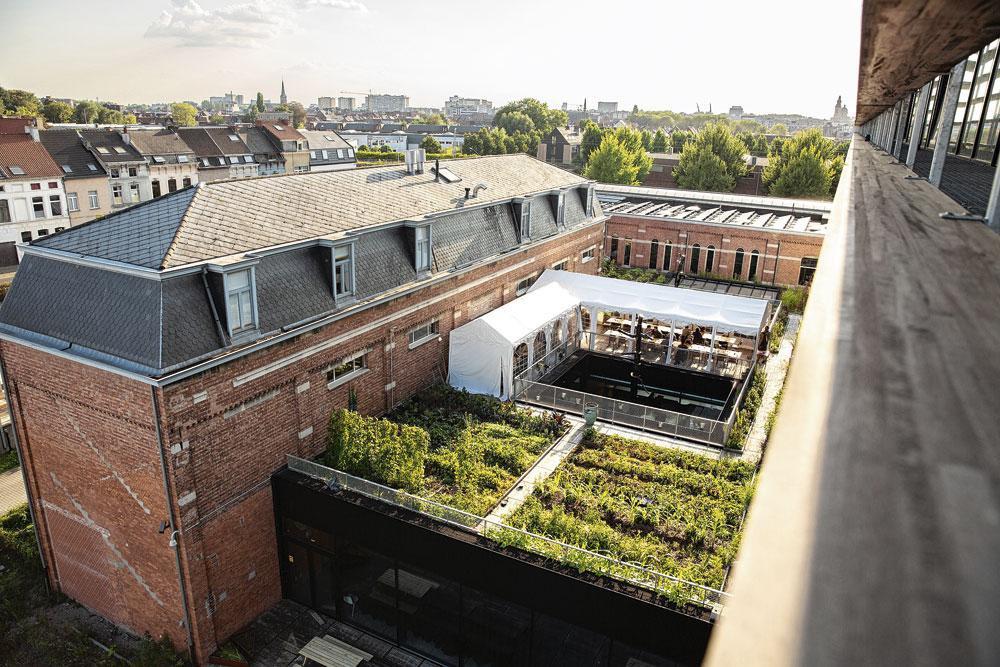 De dakmoestuin van Roof Food in Gent.