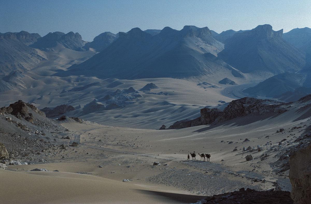 Arita in de Egyptische woestijn, op weg naar de oase Dachla om water te halen voor haar kamelen. Nog voor er wifi bestond...