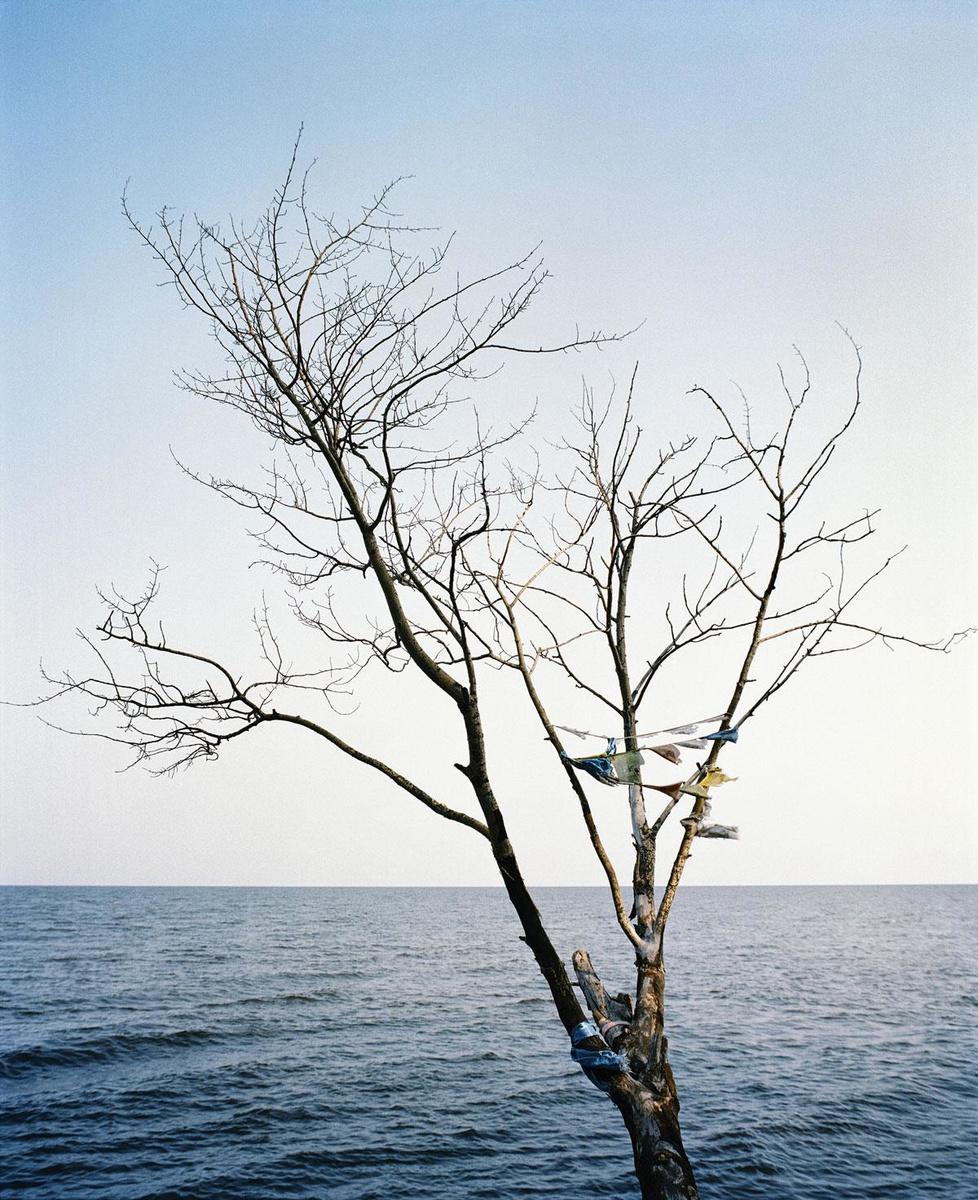 Baikalmeer, Rusland. Een afgestorven boom aan het Baikalmeer in Boerjatië, een gebied zo groot als Duitsland. De vlaggetjes zijn een boeddhistisch symbool. Boerjatiërs zijn verwant aan hun zuiderburen in Mongolië.