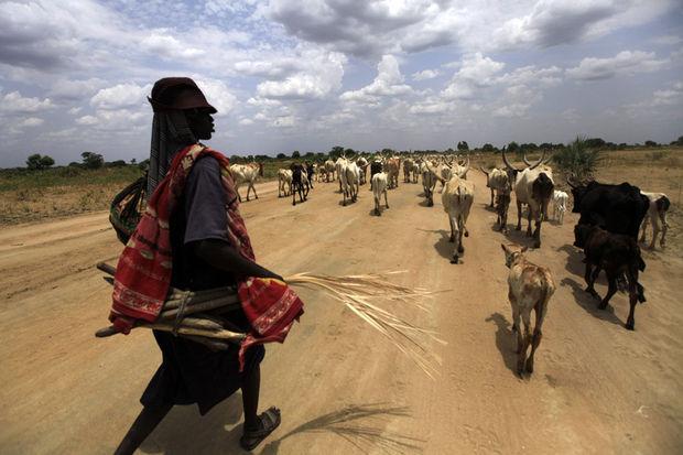 Les nomades soudanais pourraient nourrir la moitié de l'Afrique