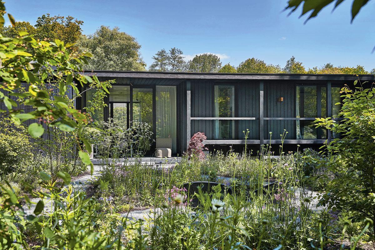 weelderig, kleurrijk en elegant: de tuin vormt bewust een groot contrast met de zwarte woning. Landschapsarchitect Erik Dhont zorgde er dankzij de verschillende bloeiperiodes voor dat de tuin er het hele jaar door anders uitziet.