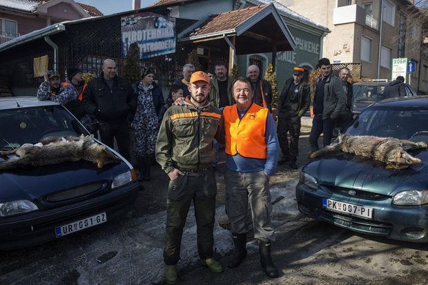 A la chasse au loup en Serbie