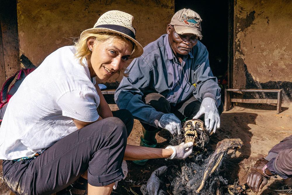 La carcasse à moitié momifiée d'un chimpanzé amenée par un villageois. Cette découverte, très rare, pourrait attester de l'existence de rites funéraires chez les primates.