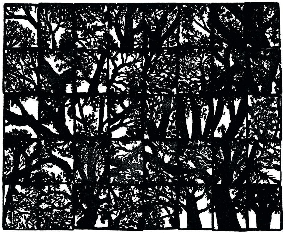 Branchages, Kikie Crêvecoeur, 2013 (20 cm × 24 cm). Estampe réalisée  pour le livre Autoportrait en arbres, par Christine Caillon, éd. La Pierre d'Alun.
