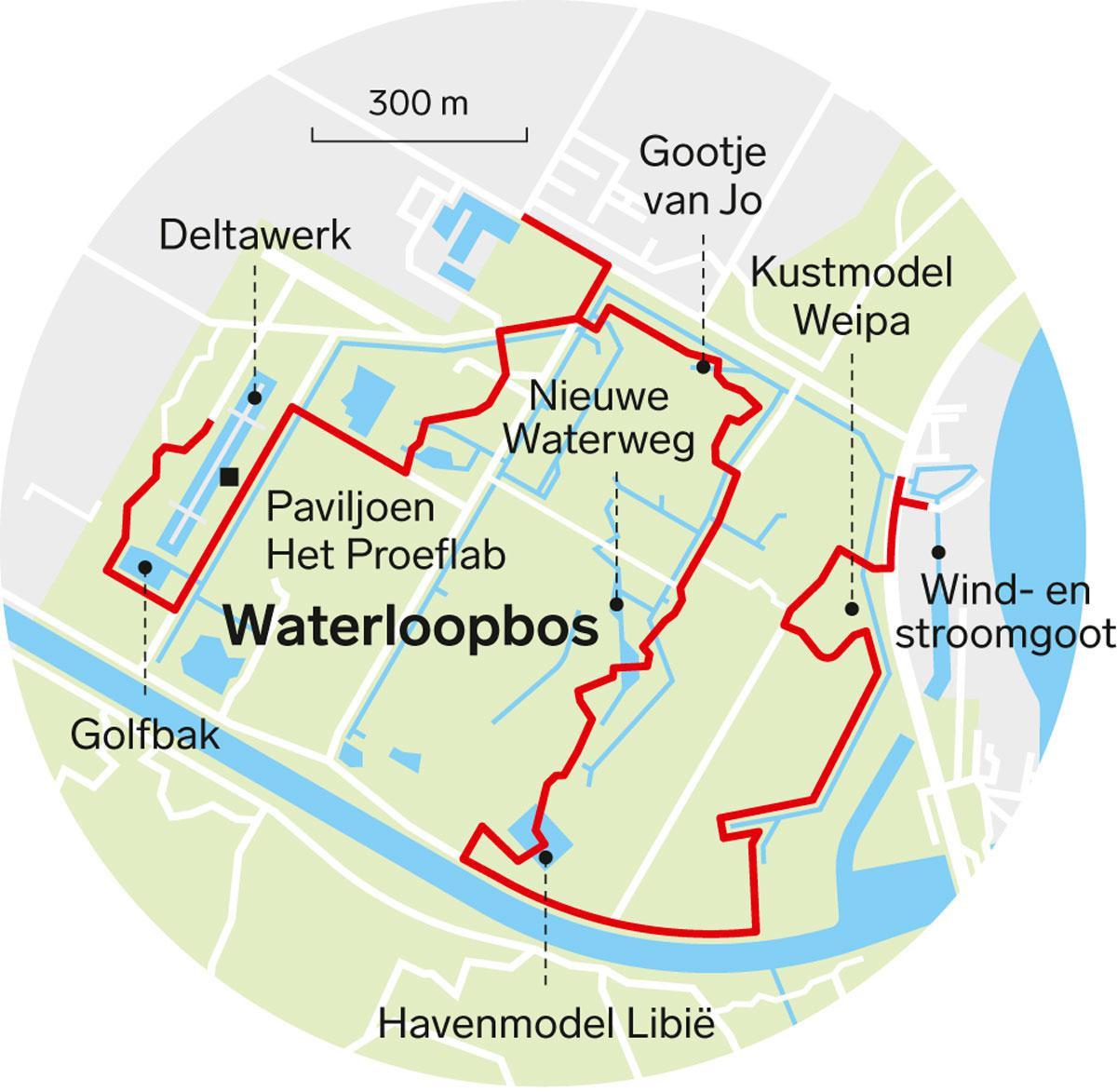Bangkok in de polder: wandel mee door het wonderlijke Waterloopbos
