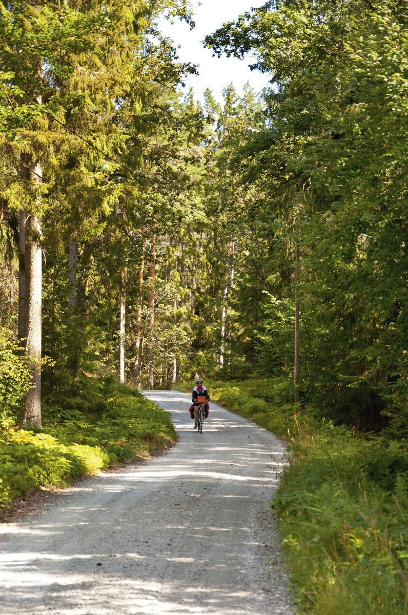 Urenlang autoloos fietsen door de stille bossen.