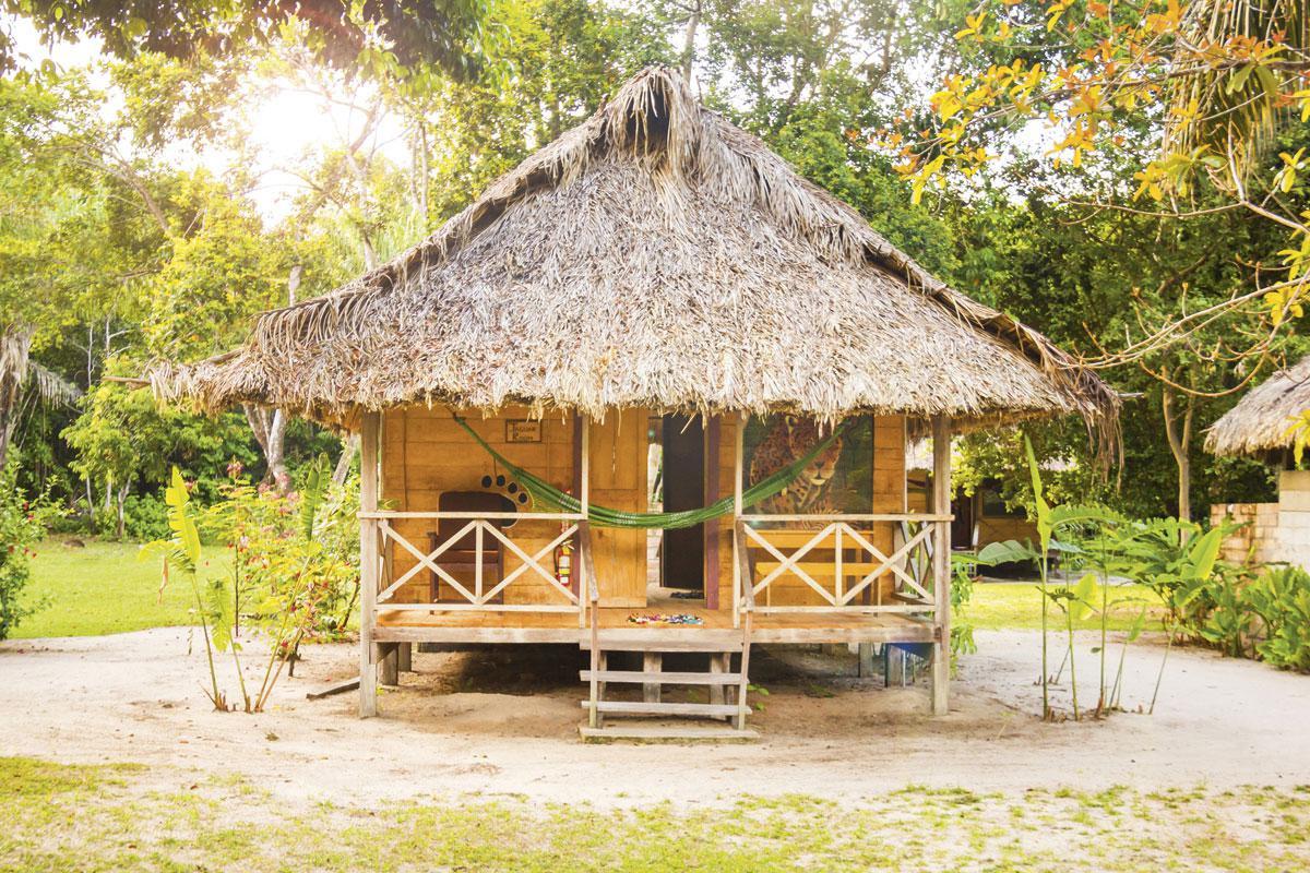 Rewa Eco Lodge staat midden in het regenwoud en biedt zes tweepersoonshutten met veranda en buitendouche.