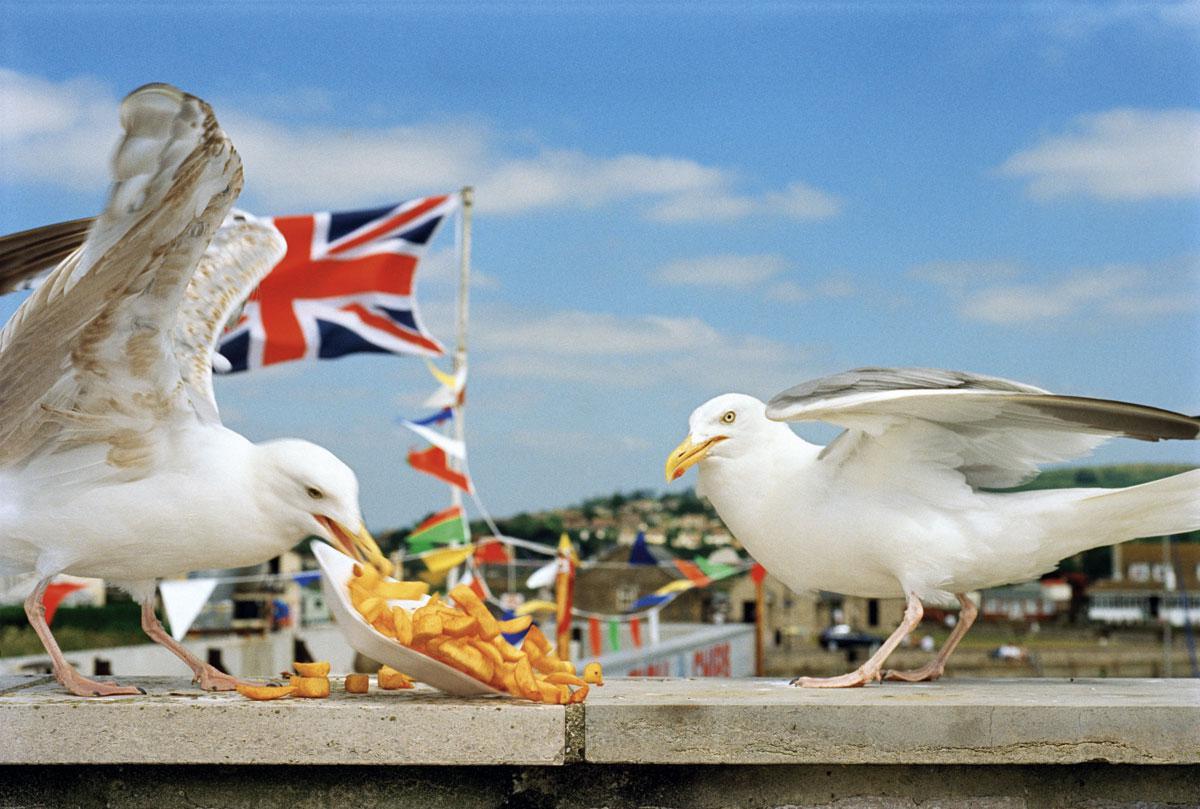 Een beeld uit 1996, met zeemeeuwen en chips die de Britse kustervaring oproepen.