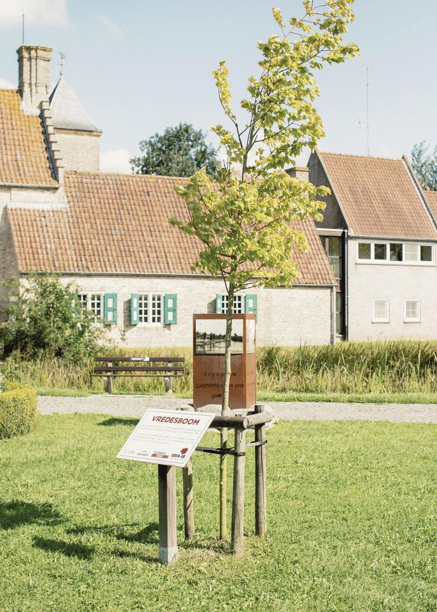 Een vredesboompje en zwart-witfoto's aan herenwoning Wyckhuize in Alveringem doen je stilstaan bij de gruwel van WOI.