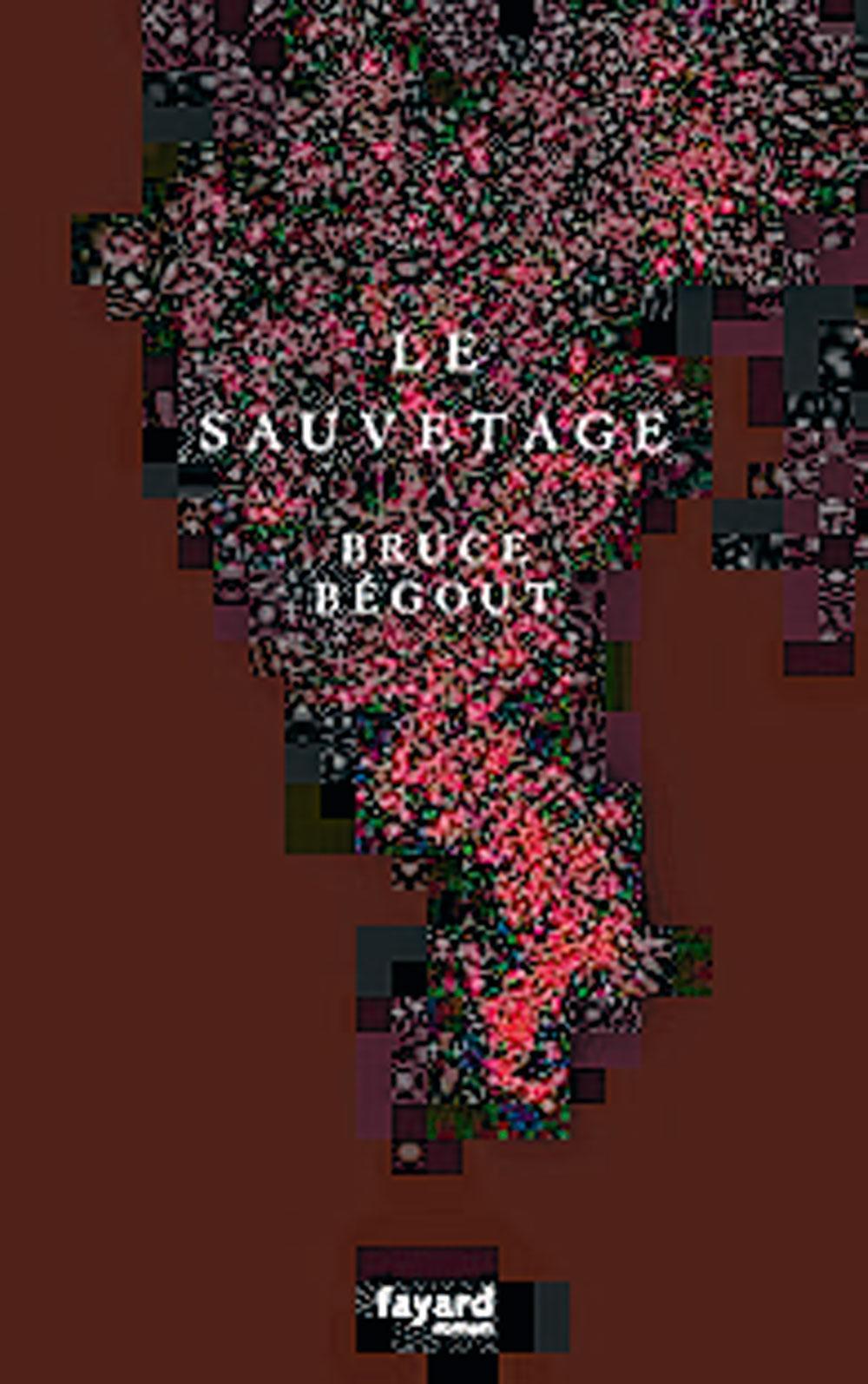 (2) Le Sauvetage, Bruce Bégout, éd. Fayard, 368 p.