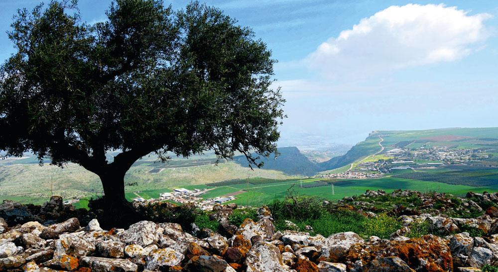 La Galilée de Jésus réapparaît sur les sentiers caillouteux : ici, le mont Arbel vu du sommet des cornes de Hattin.