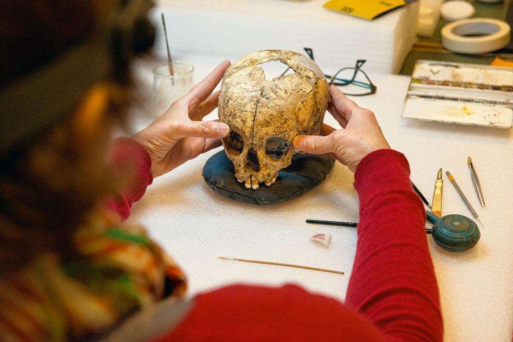 Un arrière-crâne développé lui permettait d'avoir un cerveau plus gros que le nôtre : jusqu'à 1 750 cm3 en moyenne.