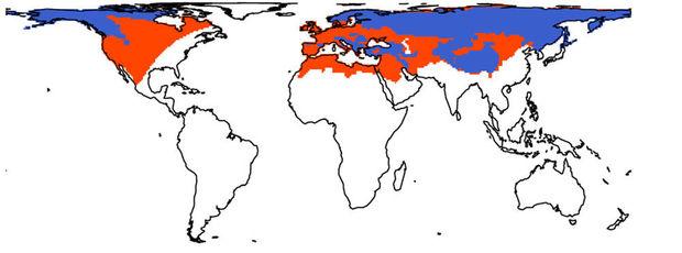 En bleu: les espaces naturels de l'ours brun aujourd'hui. En rouge: son territoire s'il n'avait pas été influencé par l'activité humaine.
