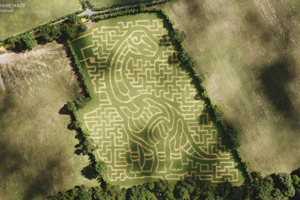 Cornish Maize Maze