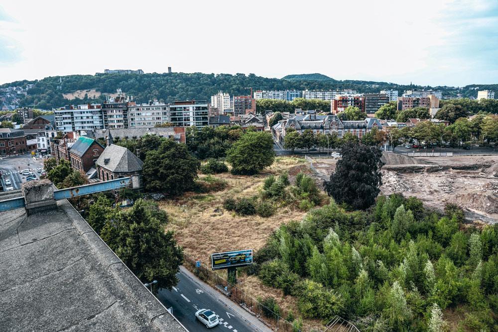 La vue d'un neuvième étage rue des Bonnes-Villes fin juillet 2018 : une large friche partiellement boisée.