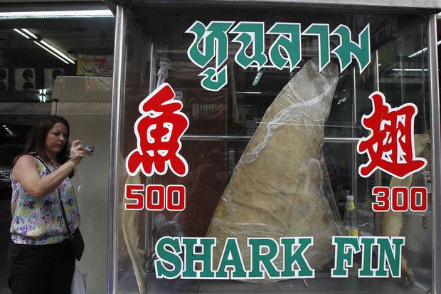 L'aileron de requin, un mets très prisé en Asie. Ici, à Hong Kong