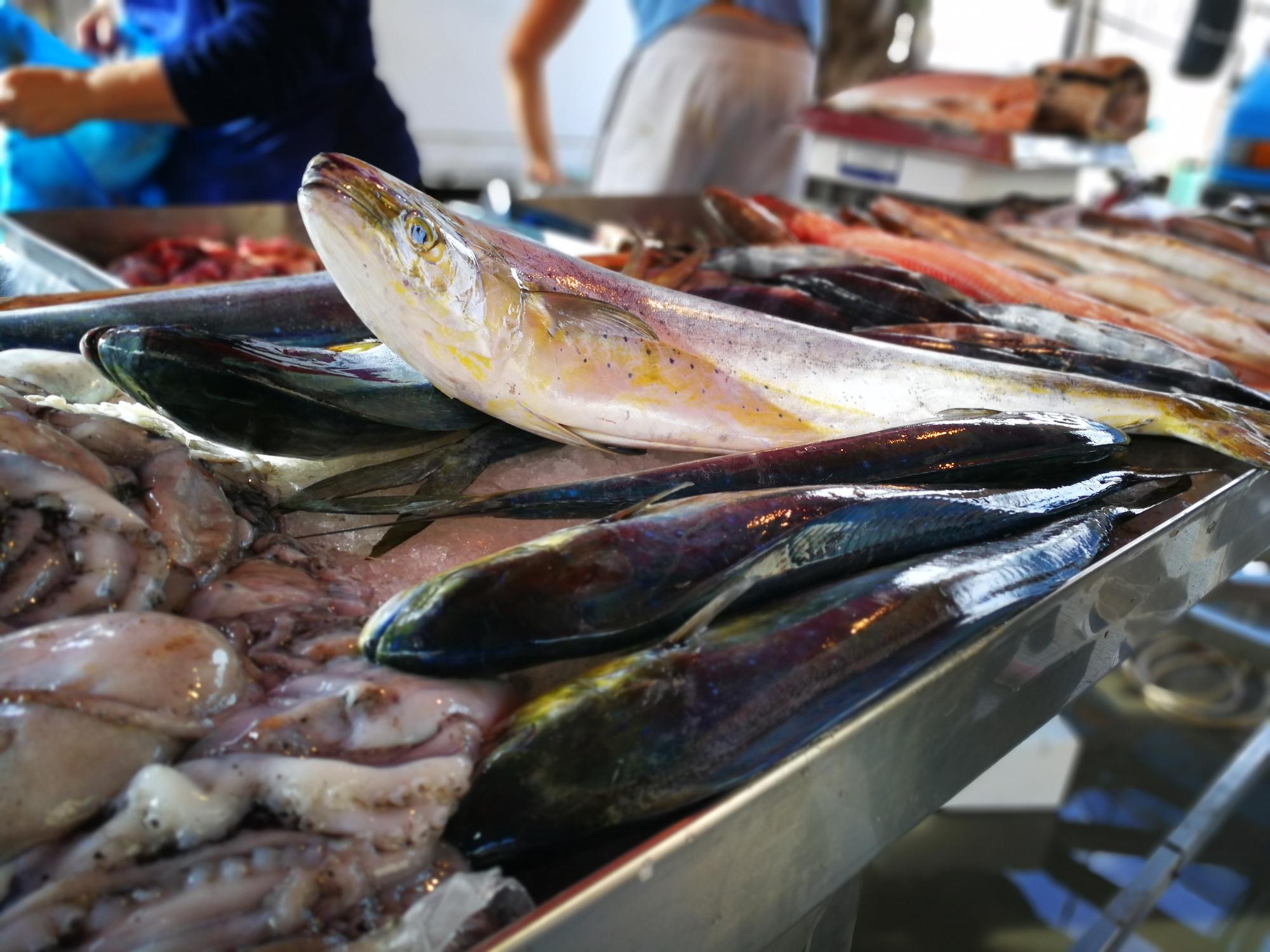 Lampuki op de vismarkt van Marsaxlokk 