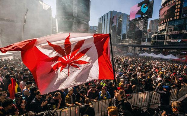 En 2017, le Canada sera le premier pays du G7 à adopter une loi légalisant la consommation de marijuana.