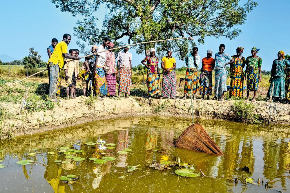 Un projet de pisciculture dans un village de Boukombé, fidèle au slogan d'Iles de paix : 