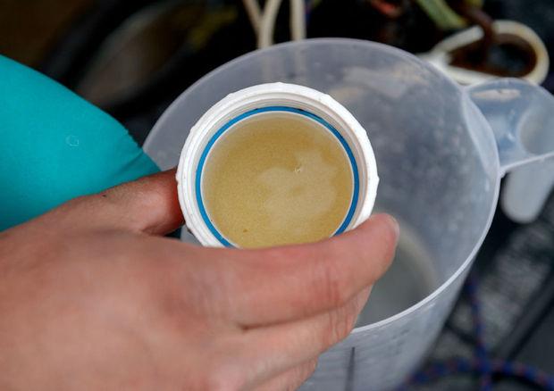 Les eaux de la Patagonie, laboratoire naturel pour étudier le changement climatique