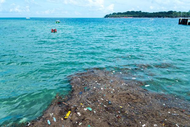 Les agglomérats de plastique, un danger supplémentaire pour la vie marine