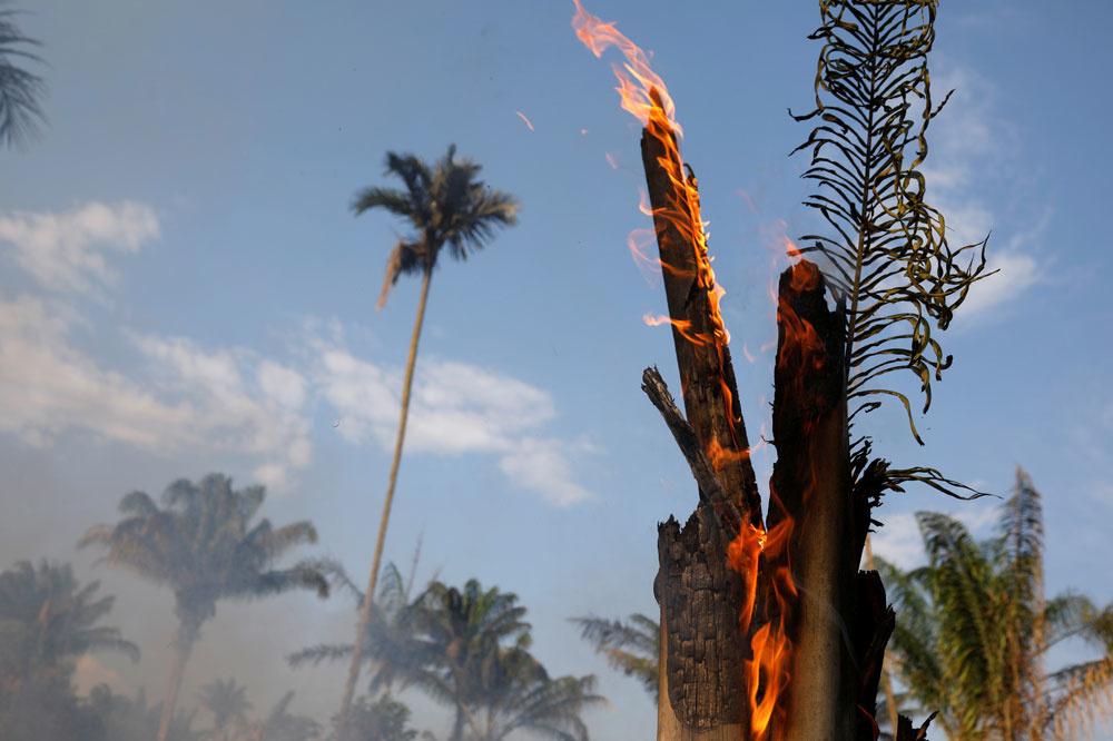 Des feux de forêt en Amazonie déclenchent une tempête anti-Bolsonaro