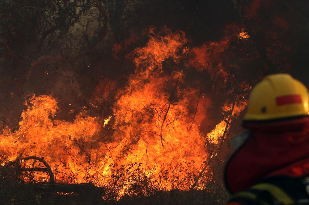 Incendies en Amazonie: Le poumon de la planète en danger, Bolsonaro sous pression