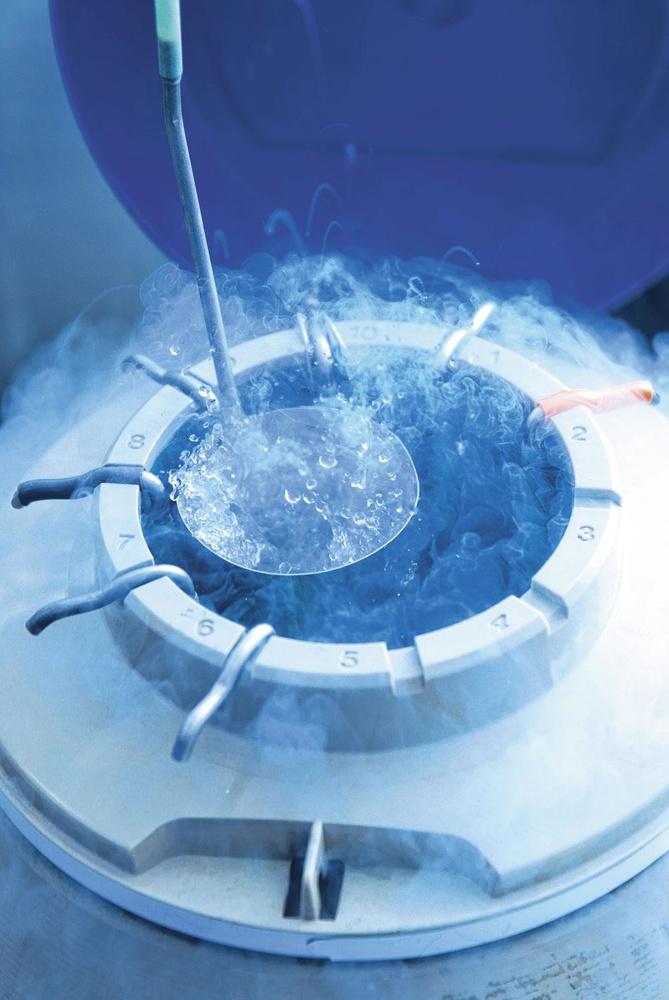 Des ovules pour plus tard