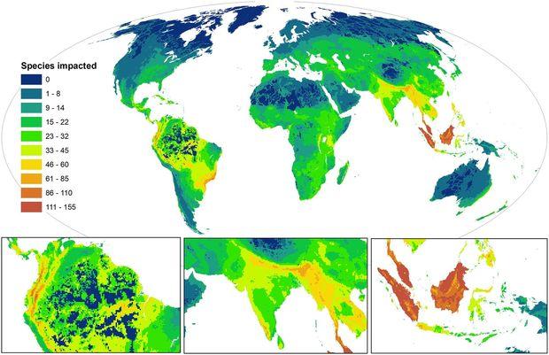Cartographie des zones où les espèces sont les plus menacées par l'Homme