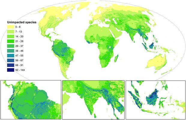 Cartographie des zones où les espèces sont les plus menacées par l'Homme