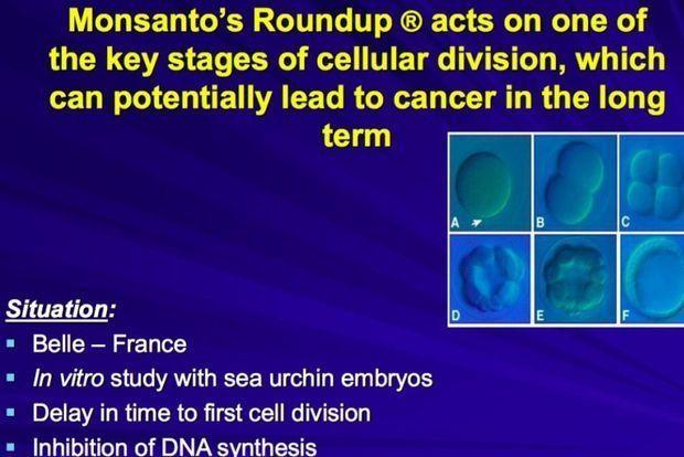 Le PowerPoint que Monsanto aurait préféré garder secret