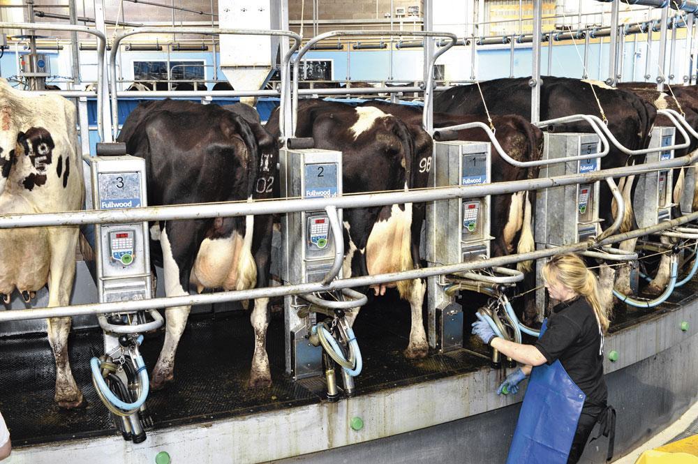 Les antibiotiques utilisés dans le secteur de l'élevage, une menace pour l'homme.