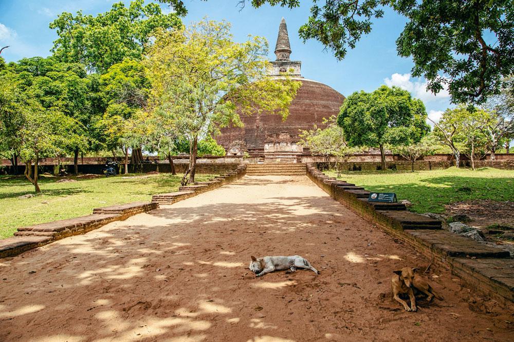 Une stupa géante parmi les vestiges de l'ancien royaume de Polonnaruwa.
