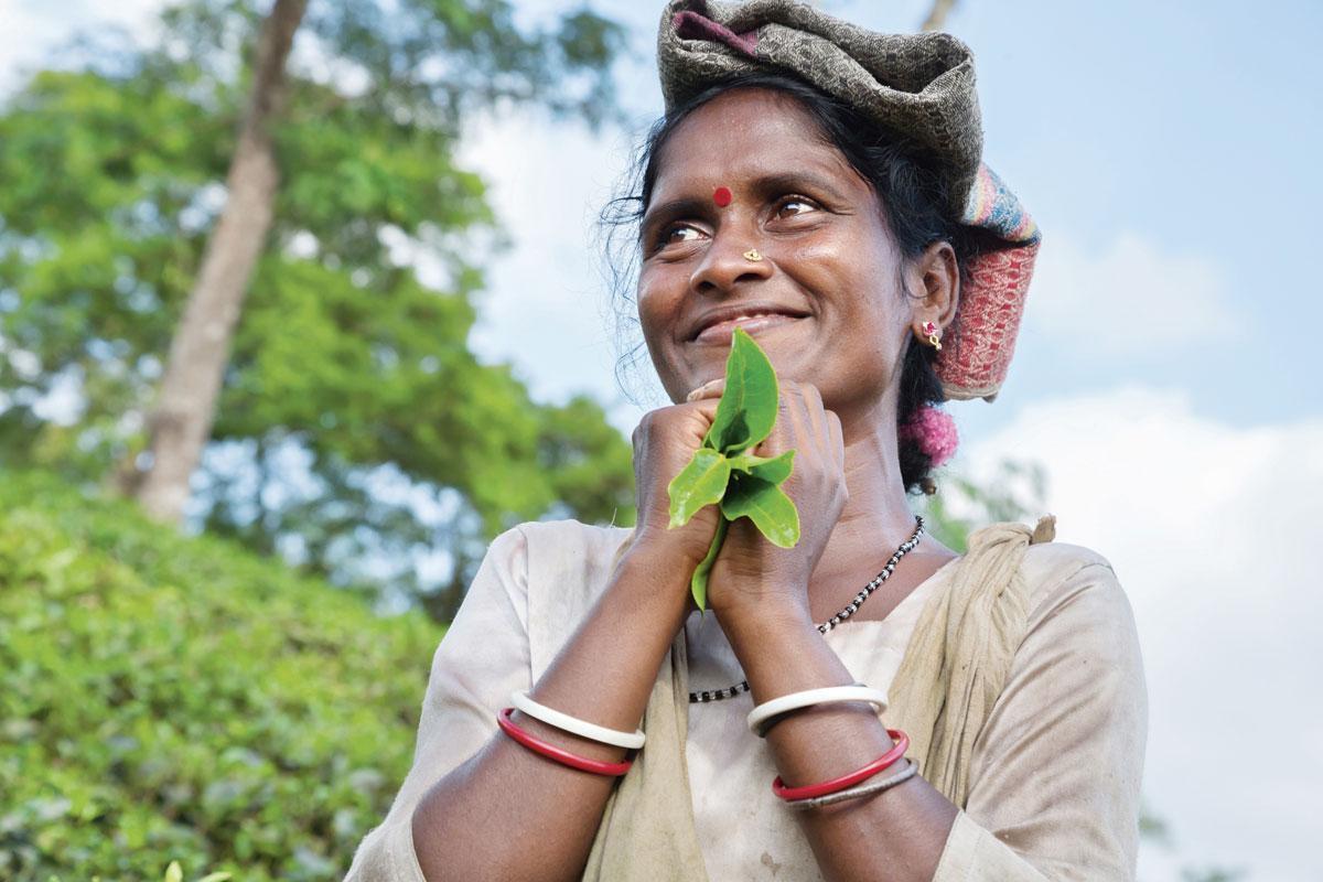 Rencontre dans les plantations de thé à Srimangal, au Bangladesh. Loin du chaos des grandes villes, la région est l'une des plus belles du pays. L'accueil de ses habitants laisse des souvenirs impérissables.