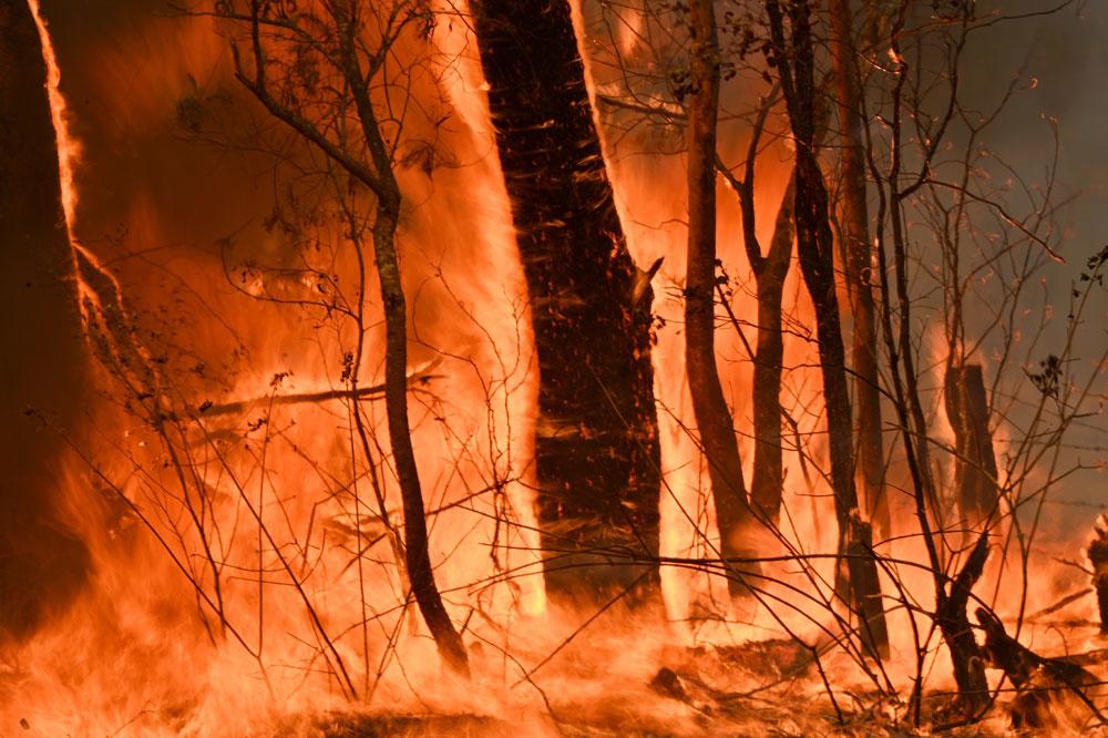 L'Australie sur le pied de guerre pour faire face aux incendies